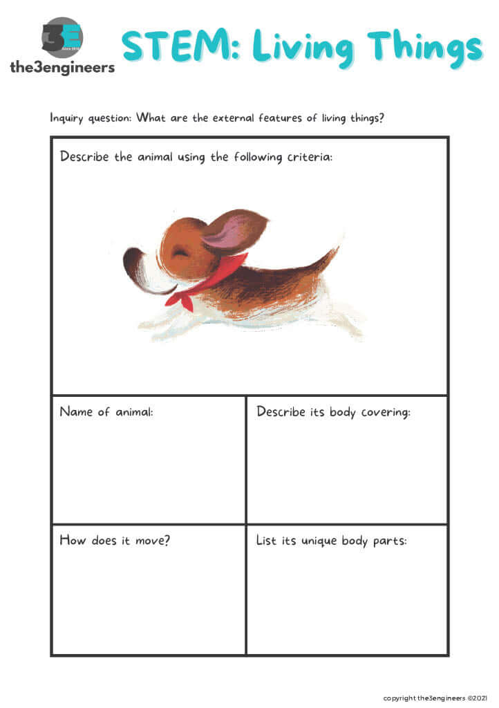 STEM: Dog