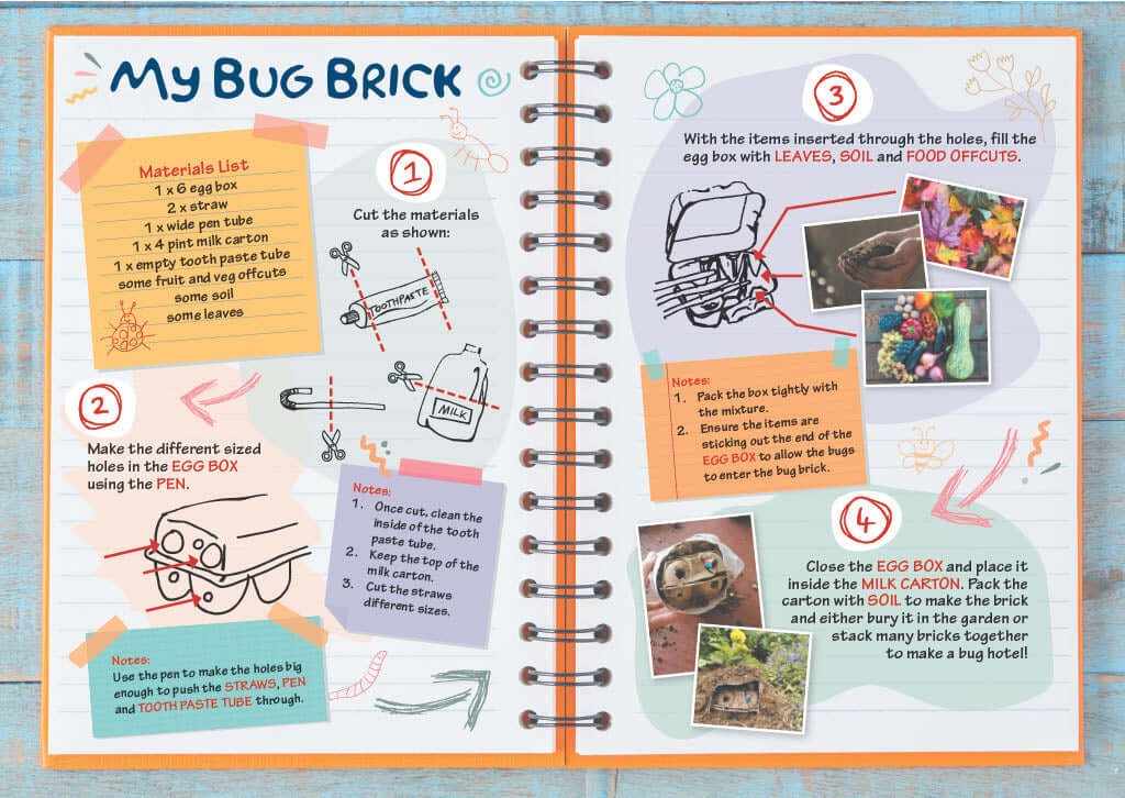 Scout's Bug Brick