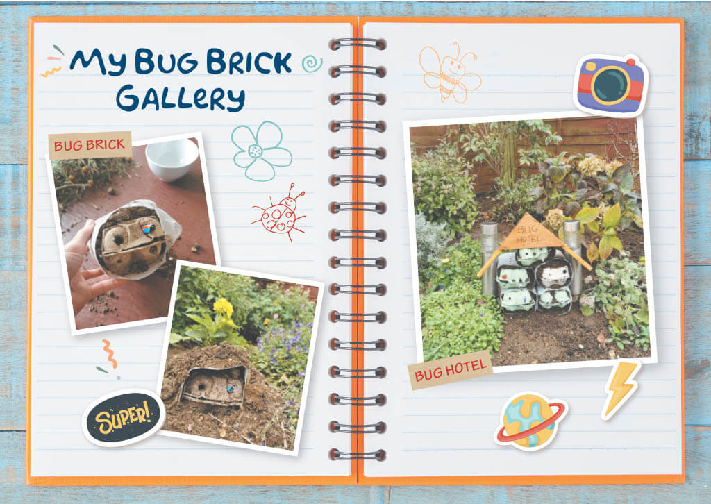 Scout's Bug Brick