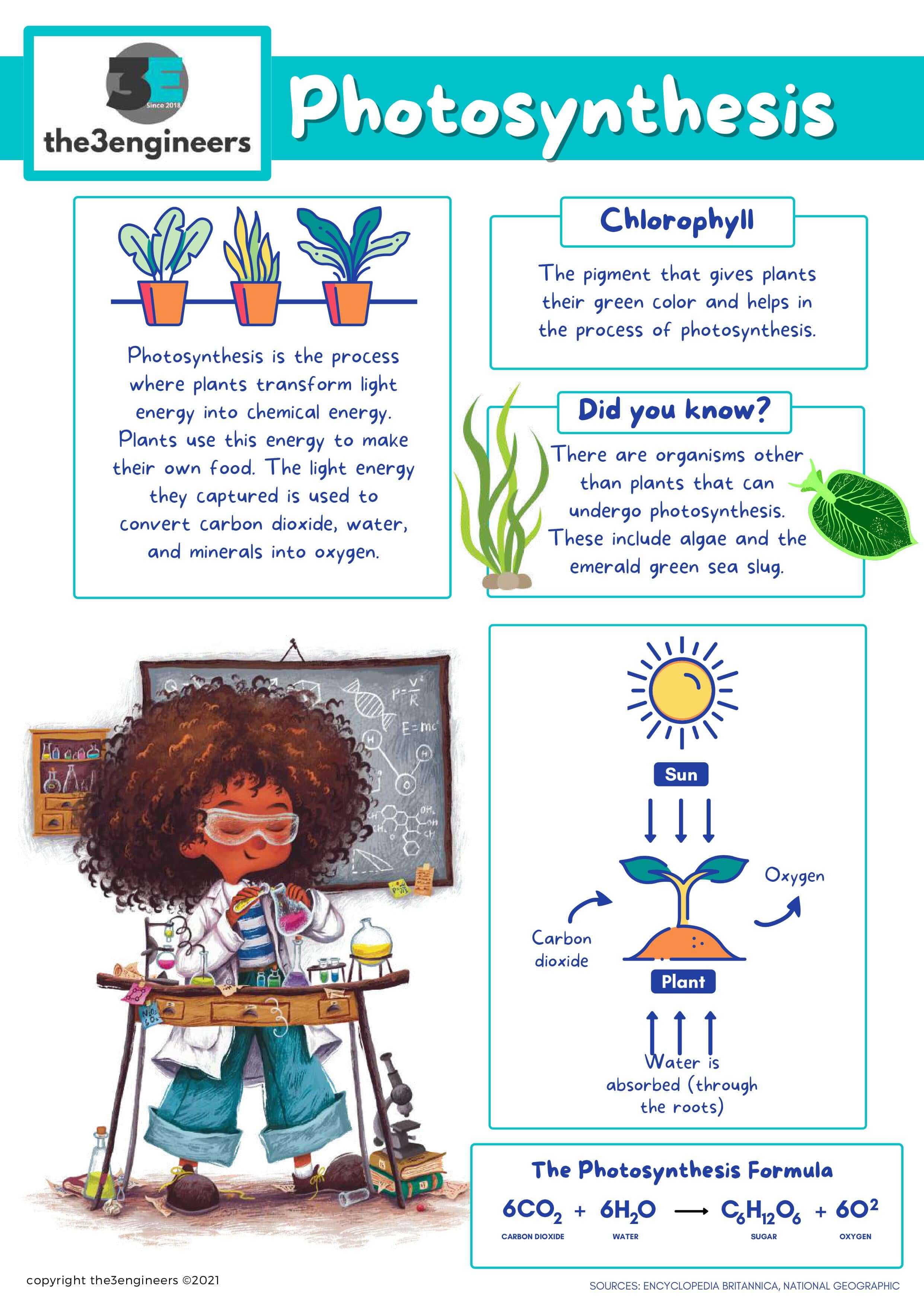 Photosynthesis