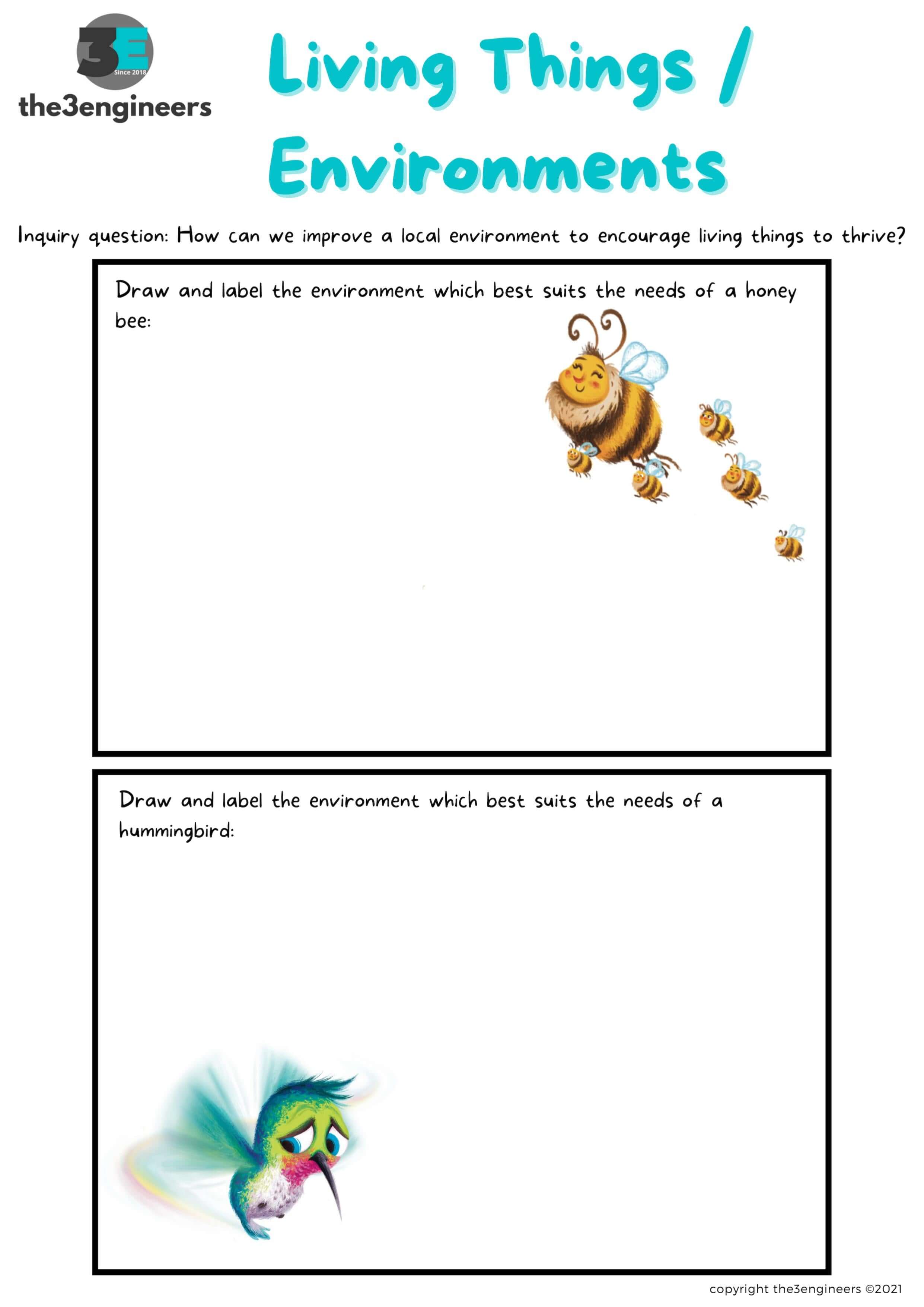 Environmental Awareness