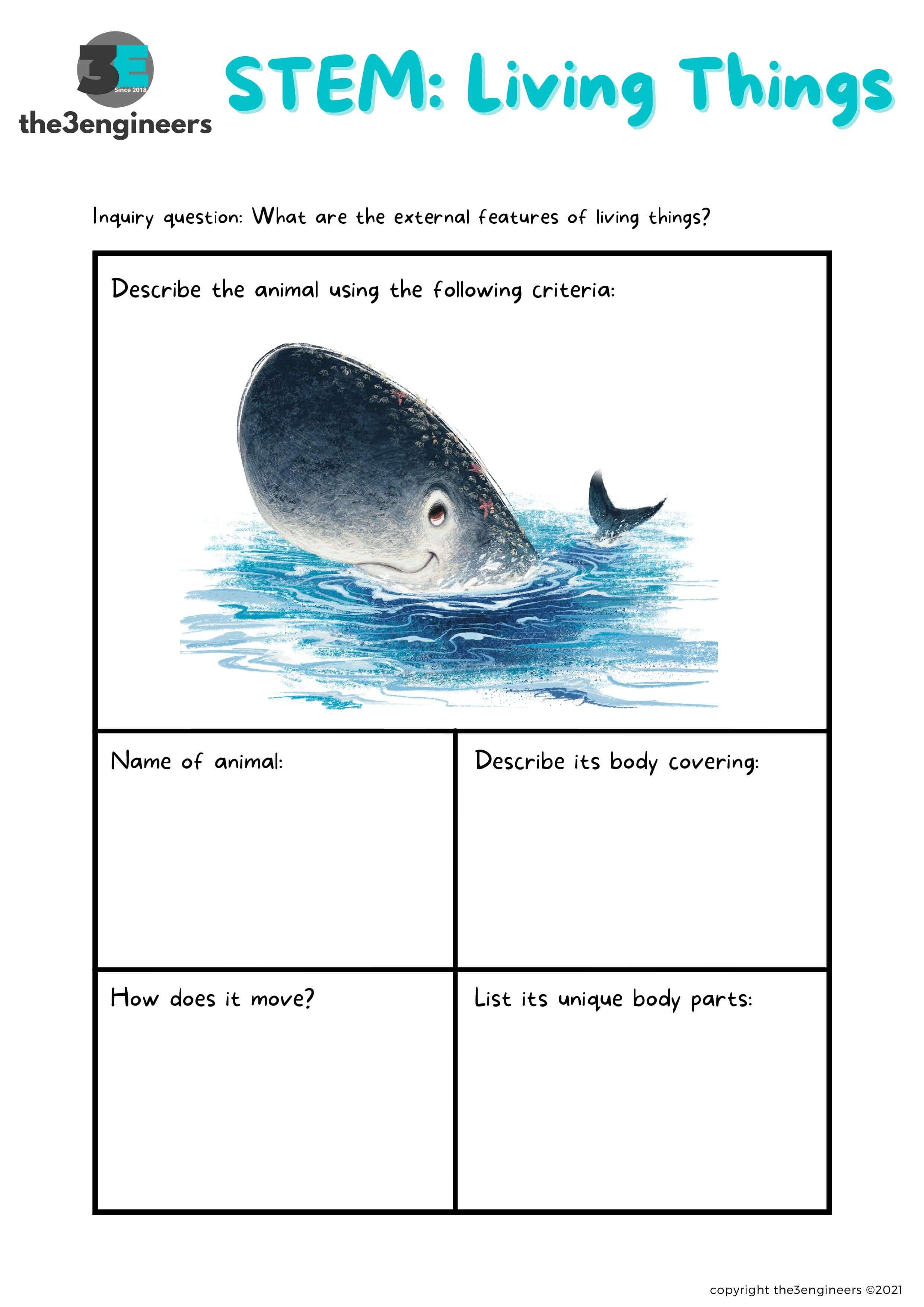 STEM: Whale